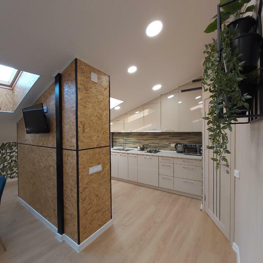 Two-Bedroom Apartment Near Forum Lviv Exteriör bild